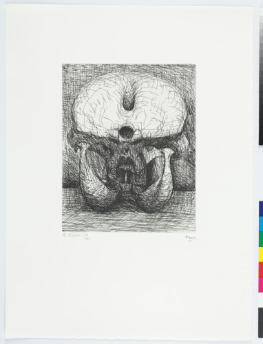 From the “Elephant Skull Album”