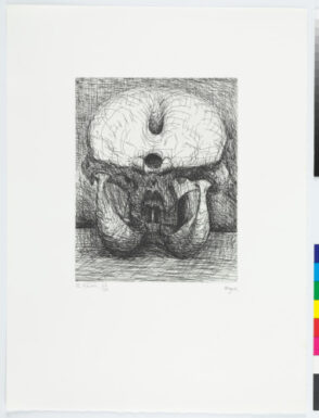 From the “Elephant Skull Album”