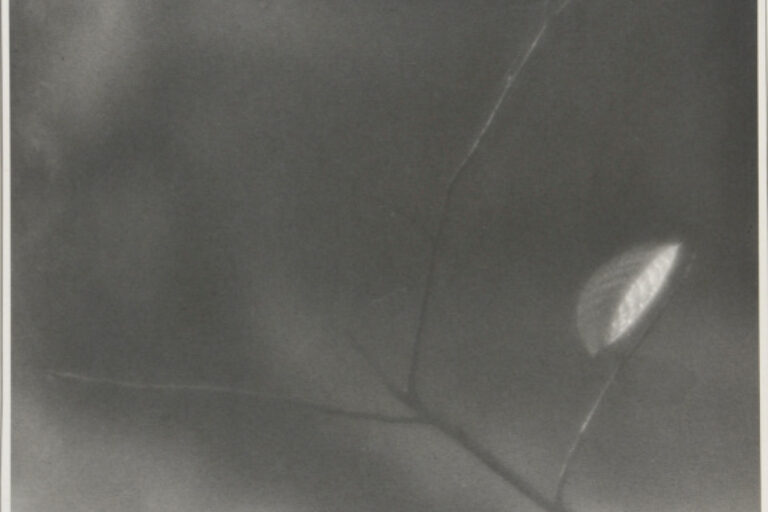 LEAF