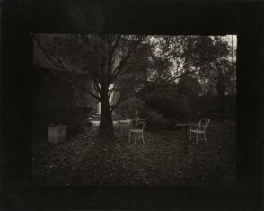 A Walk in the Magic Garden–Rothmayer’s Garden