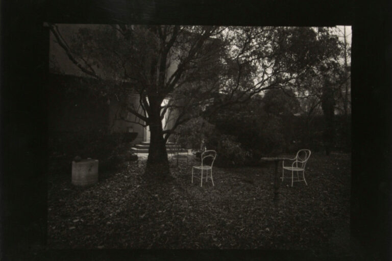 A WALK IN THE MAGIC GARDEN--ROTHMAYER'S GARDEN