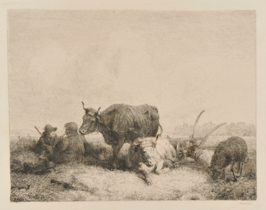 The Rest in the Field