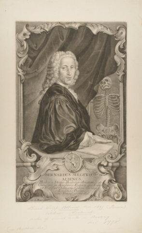 Bernhard Siegfried Albinus