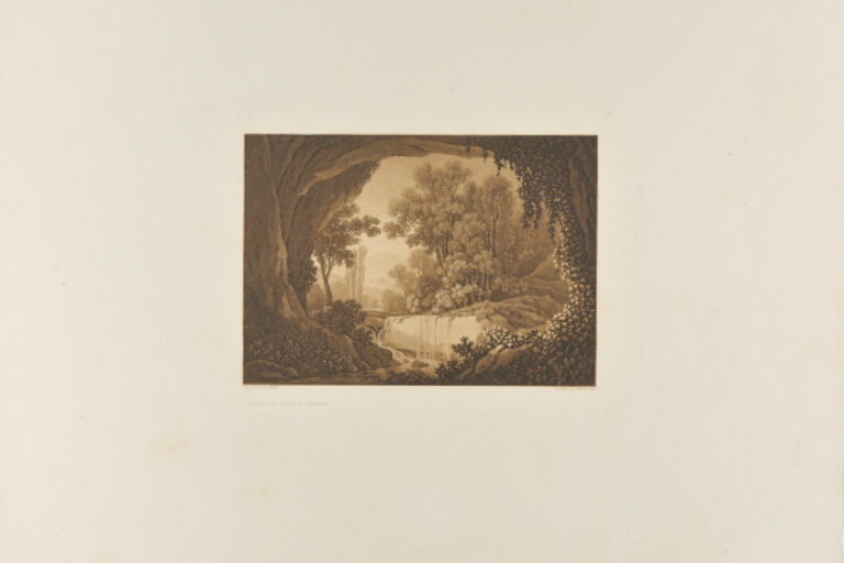 LANDSCAPE WITH HUGE TREE TRUNKS IN FOREGROUND AND WATERFALL IN CENTER
