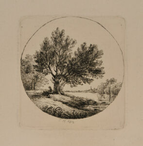 Landscape with Tree by a River