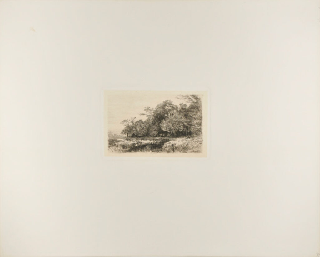 Woodland Scene with Pool in Foreground