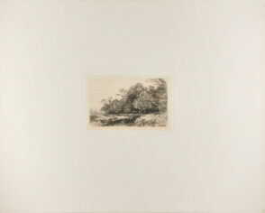 Woodland Scene with Pool in Foreground