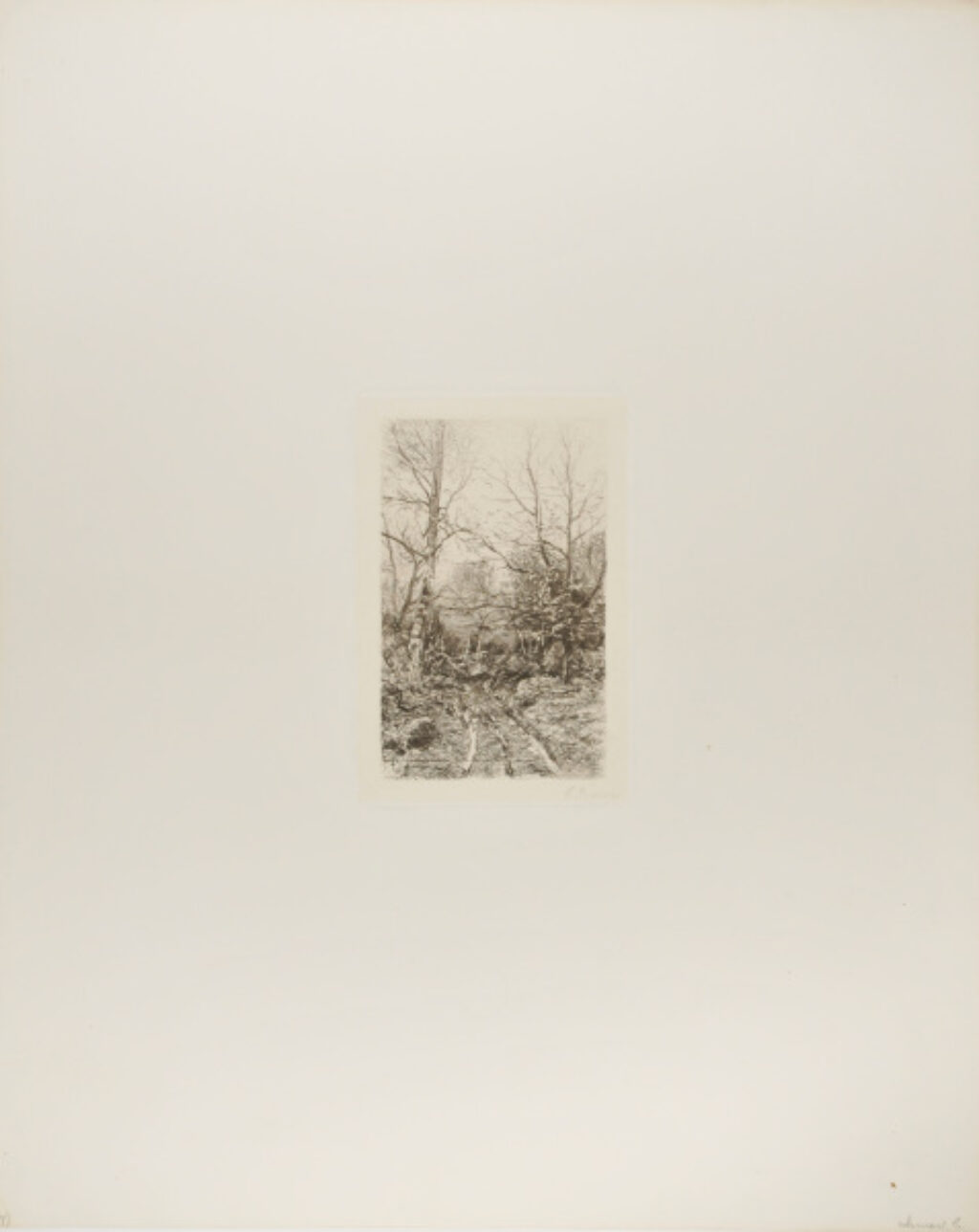 Road Through the Woods