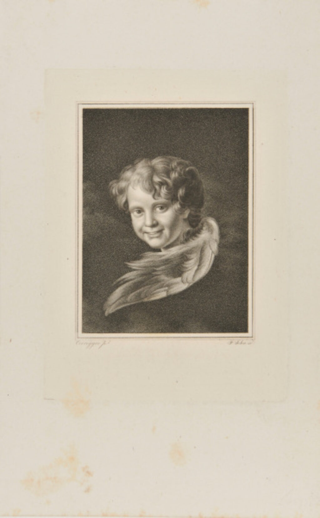 Head of Cupid, Turned to Left