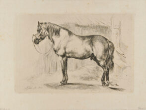 Horse with Bridle, Facing Left