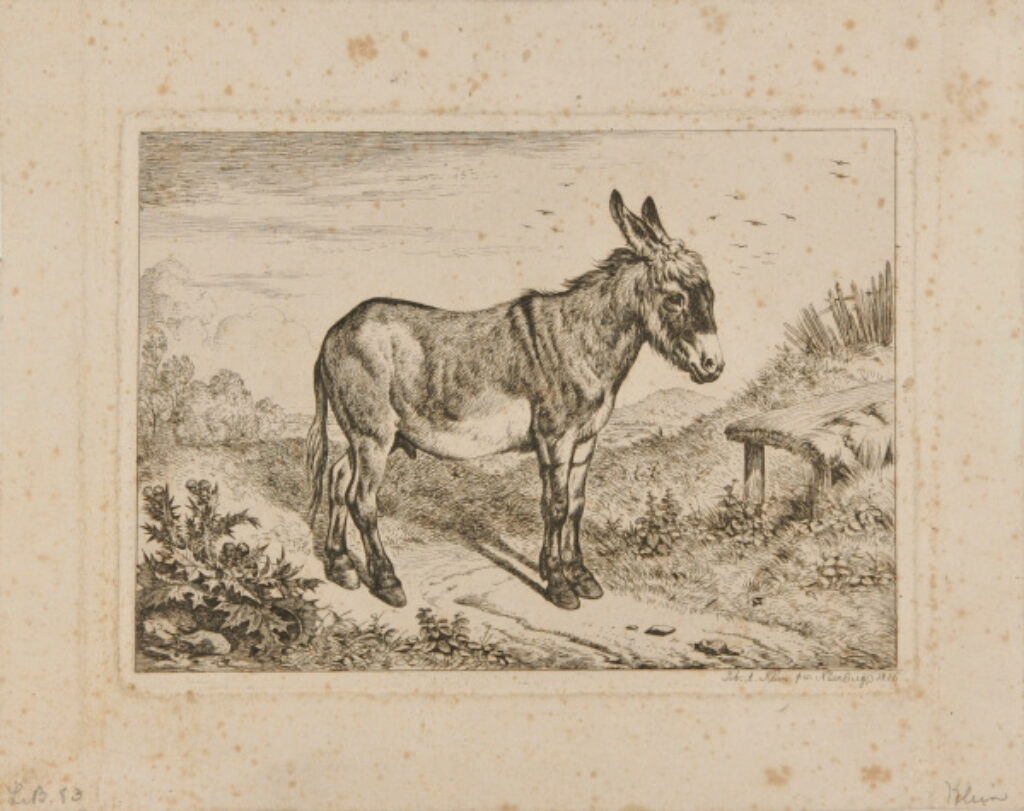 Landscape with Donkey