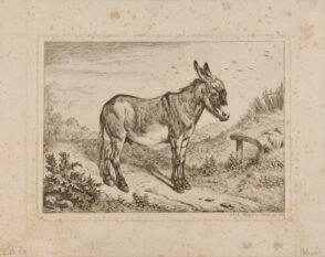 Landscape with Donkey