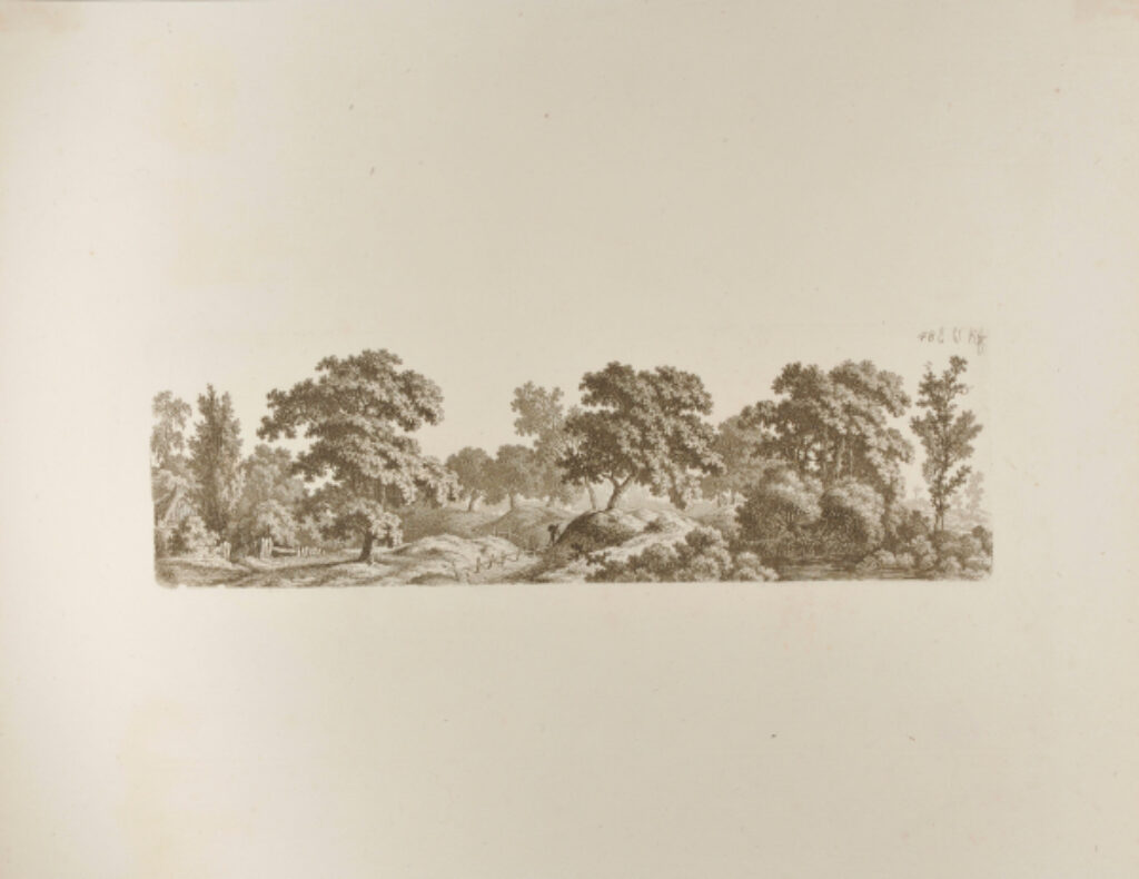 Hilly Landscape with Trees