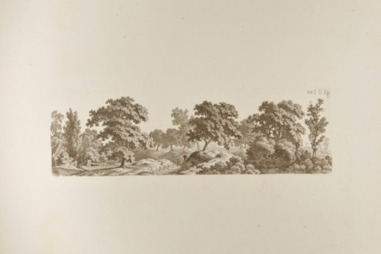 HILLY LANDSCAPE WITH TREES