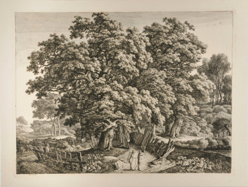 Plate from a set of four landscapes, “Landschaften in Waterloo’s Geschmack – Parthien aus den fürstlich Dessaus’chen Lande” (c. 1803)
