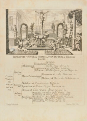 Franciscan Philosophy