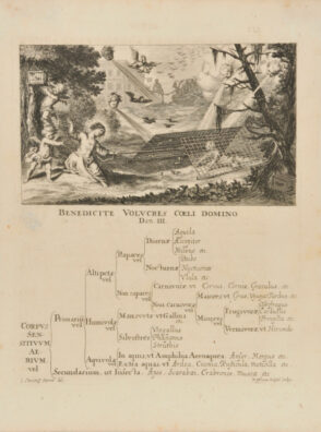 Francisco Philosophy