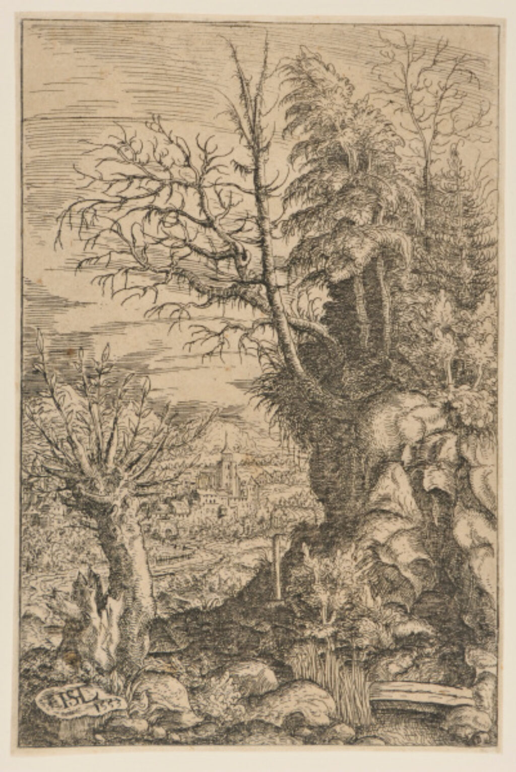 Landscape with a Willow