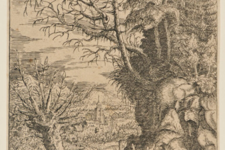 LANDSCAPE WITH A WILLOW