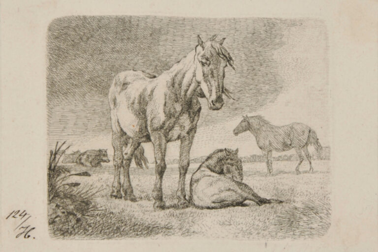 HORSES AND CATTLE IN A PASTURE, STORMY SKY ABOVE