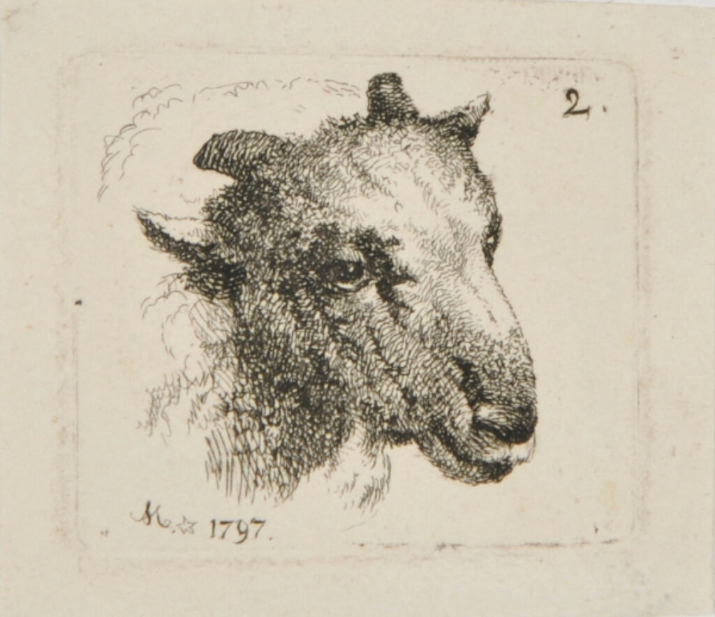 Head of a Ram