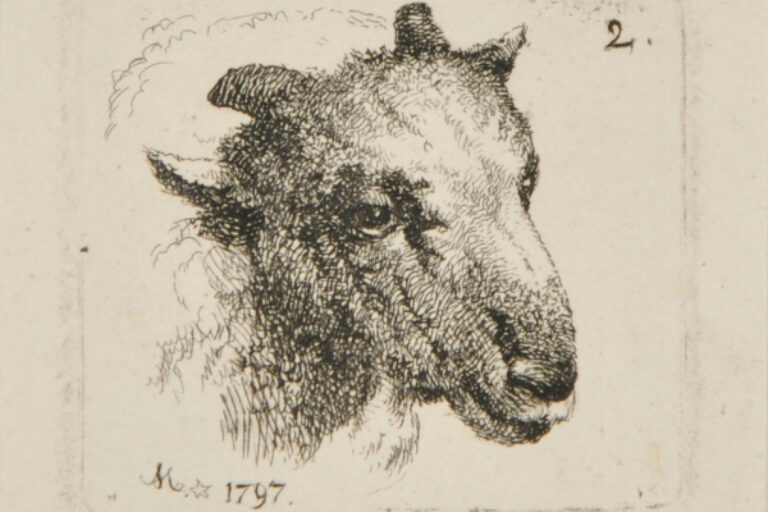 HEAD OF A RAM