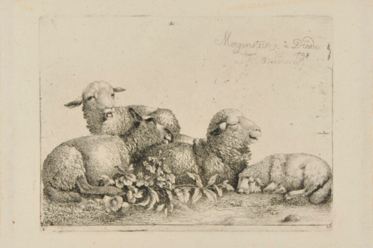 GROUP OF FOUR RESTING SHEEP