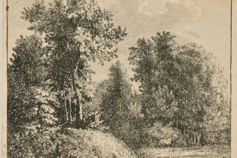 WOODED LANDSCAPE WITH COW AND PASTURE
