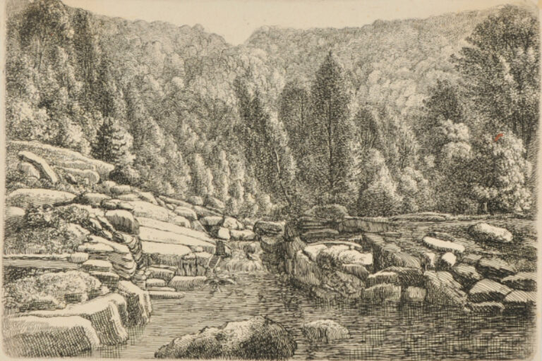 MOUNTAIN STREAM IN THE RIESENGEBIRGE