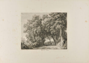 Allee bei Albano