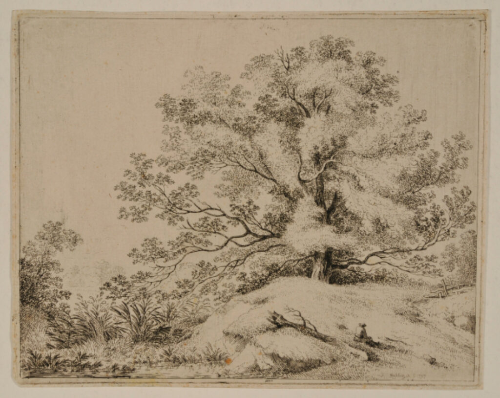 Landscape with Spreading Oak - Image 1