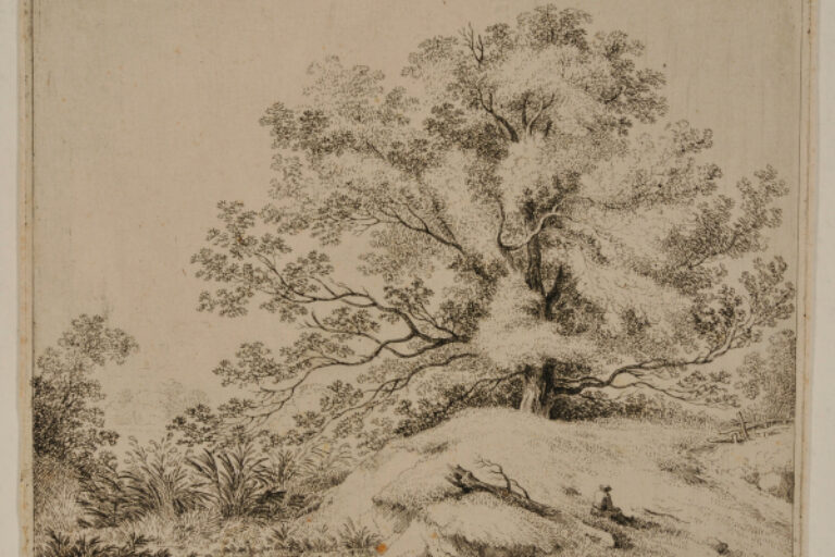 LANDSCAPE WITH SPREADING OAK