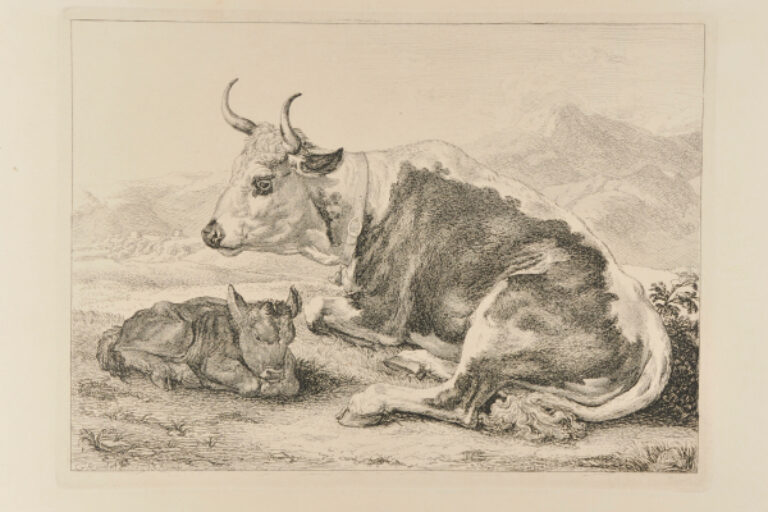 COW AND CALF RESTING