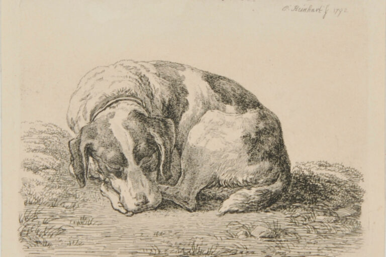 SLEEPING HUNTING DOG, TURNED TO LEFT