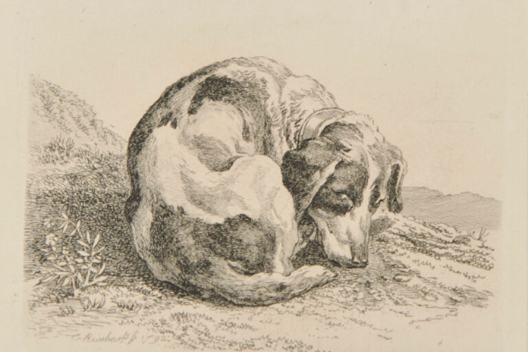 SLEEPING HUNTING DOG, TURNED TO RIGHT