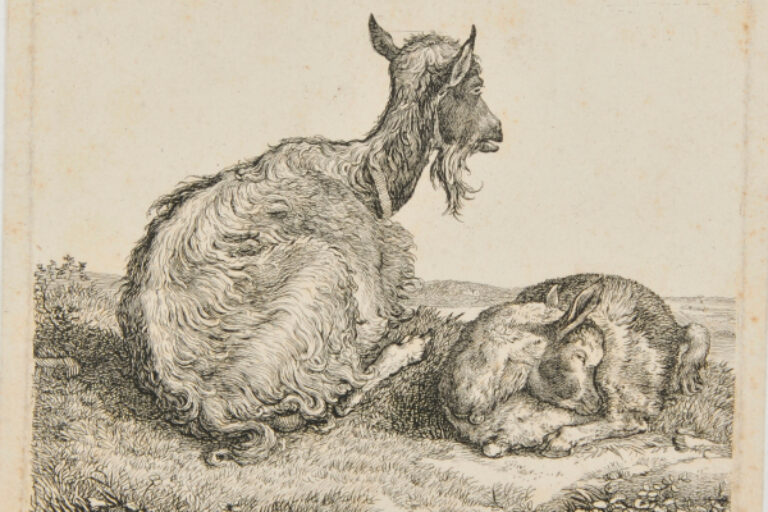 GOAT AND KID