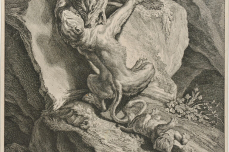 LIONESS FIGHTING A WOLF
