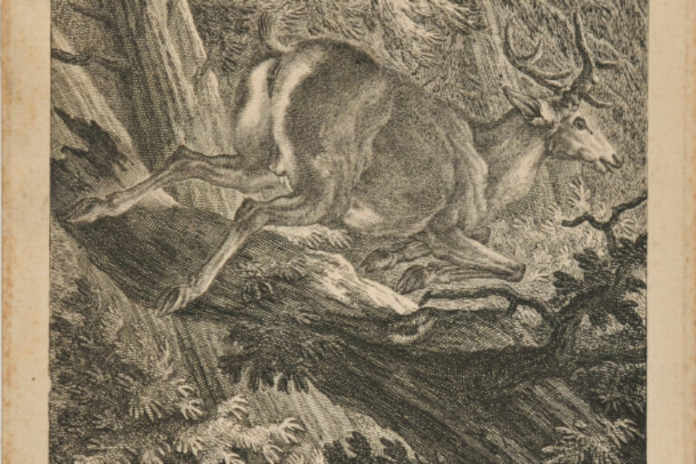 STAG LEAPING OVER A LOG