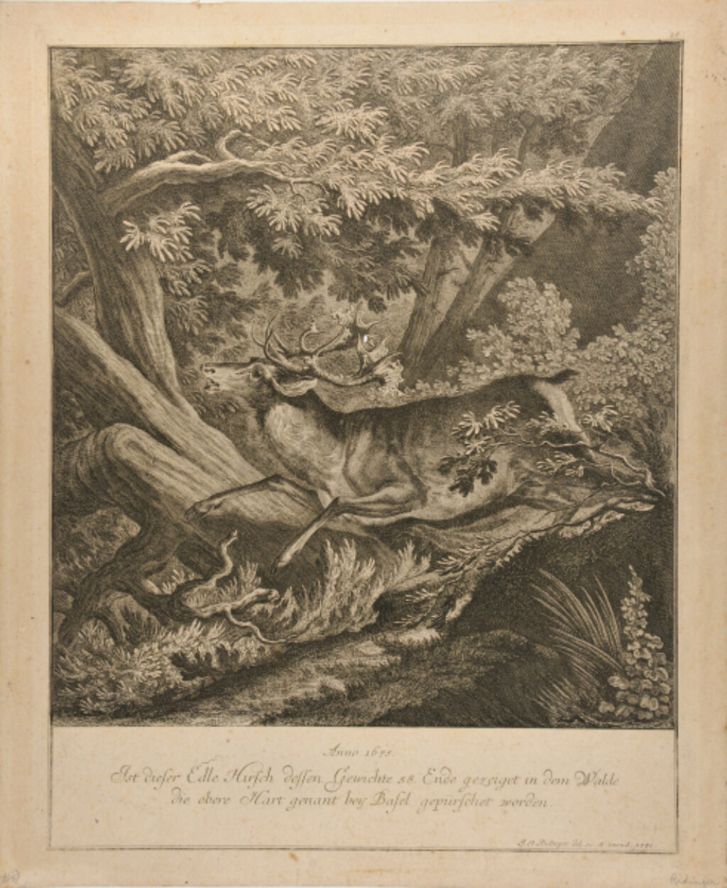 Stag Running Through the Woods