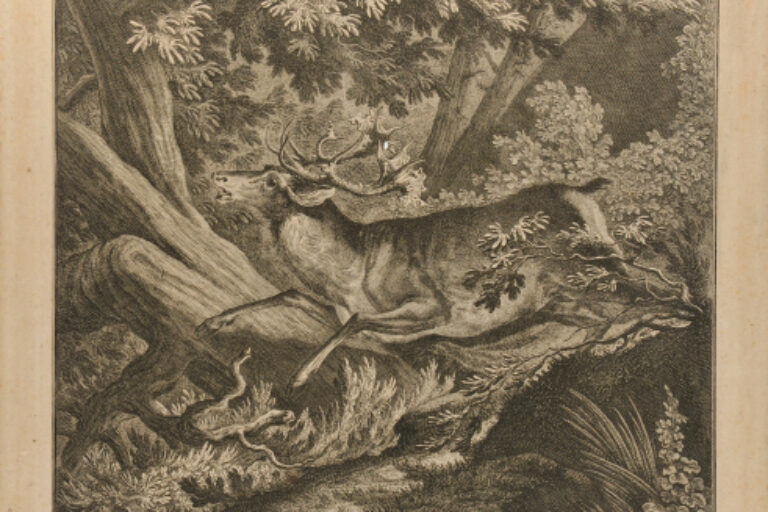 STAG RUNNING THROUGH THE WOODS