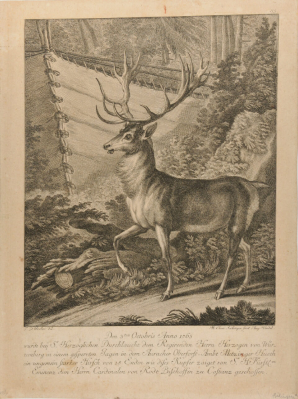 Martin Elias Ridinger