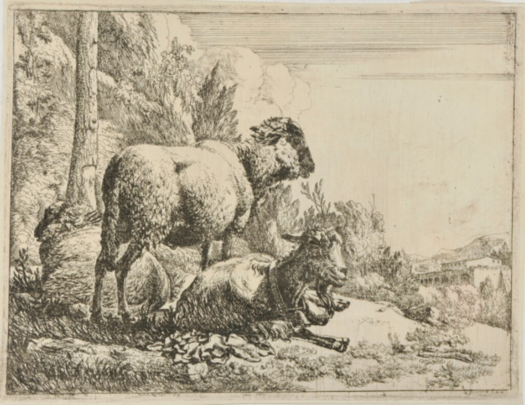 Standing Sheep at Left, Lying Sheep, and Lying Goat with Bell