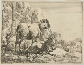 Standing Sheep at Left, Lying Sheep, and Lying Goat with Bell