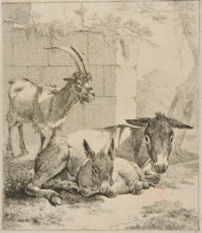 Lying Donkey with Young, A Goat in Front of Wall at Left