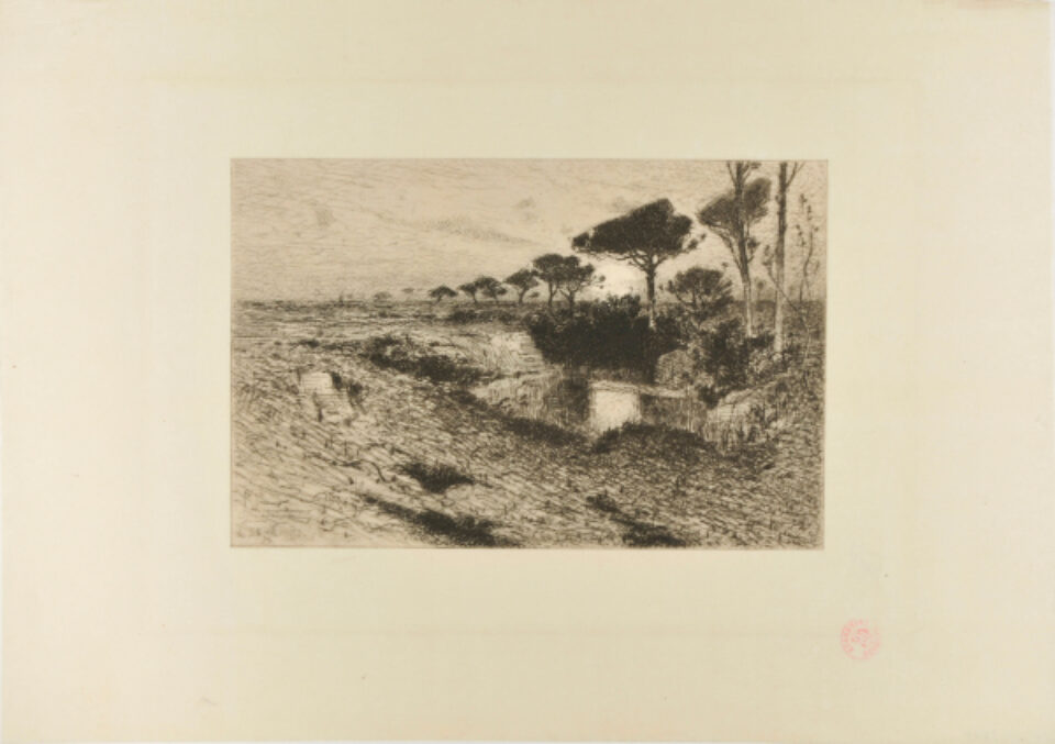 Hans Friedrich Emanuel Schennis