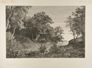 The Forest on the River