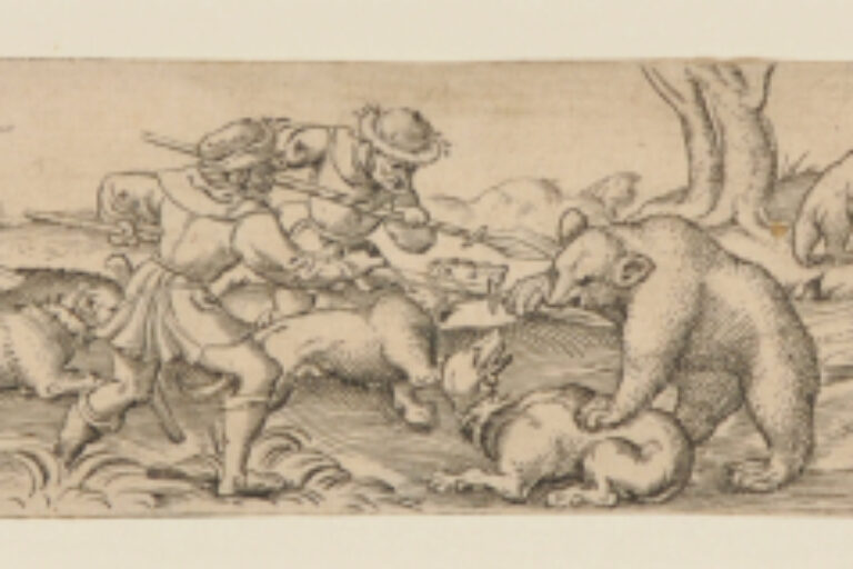 BEAR HUNT WITH DOGS