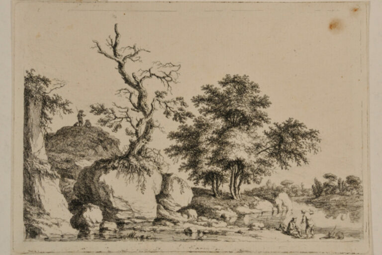 RIVER LANDSCAPE WITH WITHERED TREE ON A ROCK