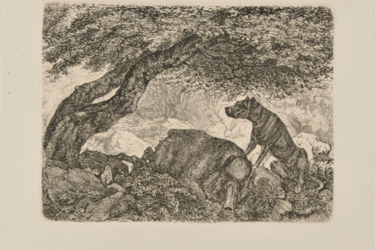 DOG WATCHING A DEAD BOAR IN A FOREST