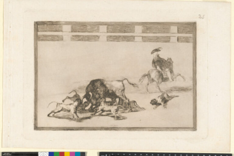 ECHAN PERROS AL TORO (THEY LOOSE DOGS ON THE BULL)